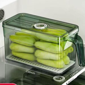Transparent Acrylic Refrigerator Storage Box